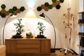 PRIVATPRAXIS FÜR PHYSIOTHERAPIE, MANUELLE THERAPIE & PERSONAL TRAINING IN FREIBURG"